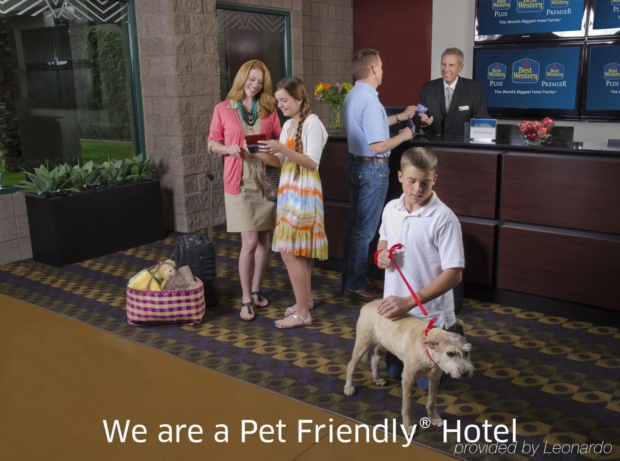 Surestay Plus Hotel By Best Western Mountain View Eksteriør bilde